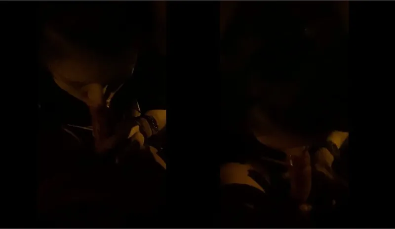 Cho gấu dâm mút chim trong công viên